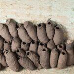 De kleine pottenbakkers van de Drôme: Mysterie tussen de horren 7 mud dauber nest