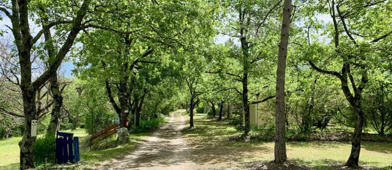 Camping Des Combos